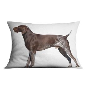German Shorthaired Pointer Cushion (Insert: With Insert, size: 14" X 14")
